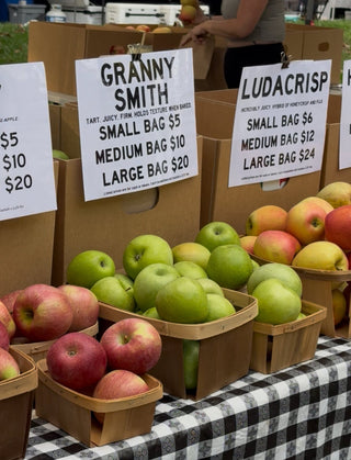 Oats with warm spiced apple
