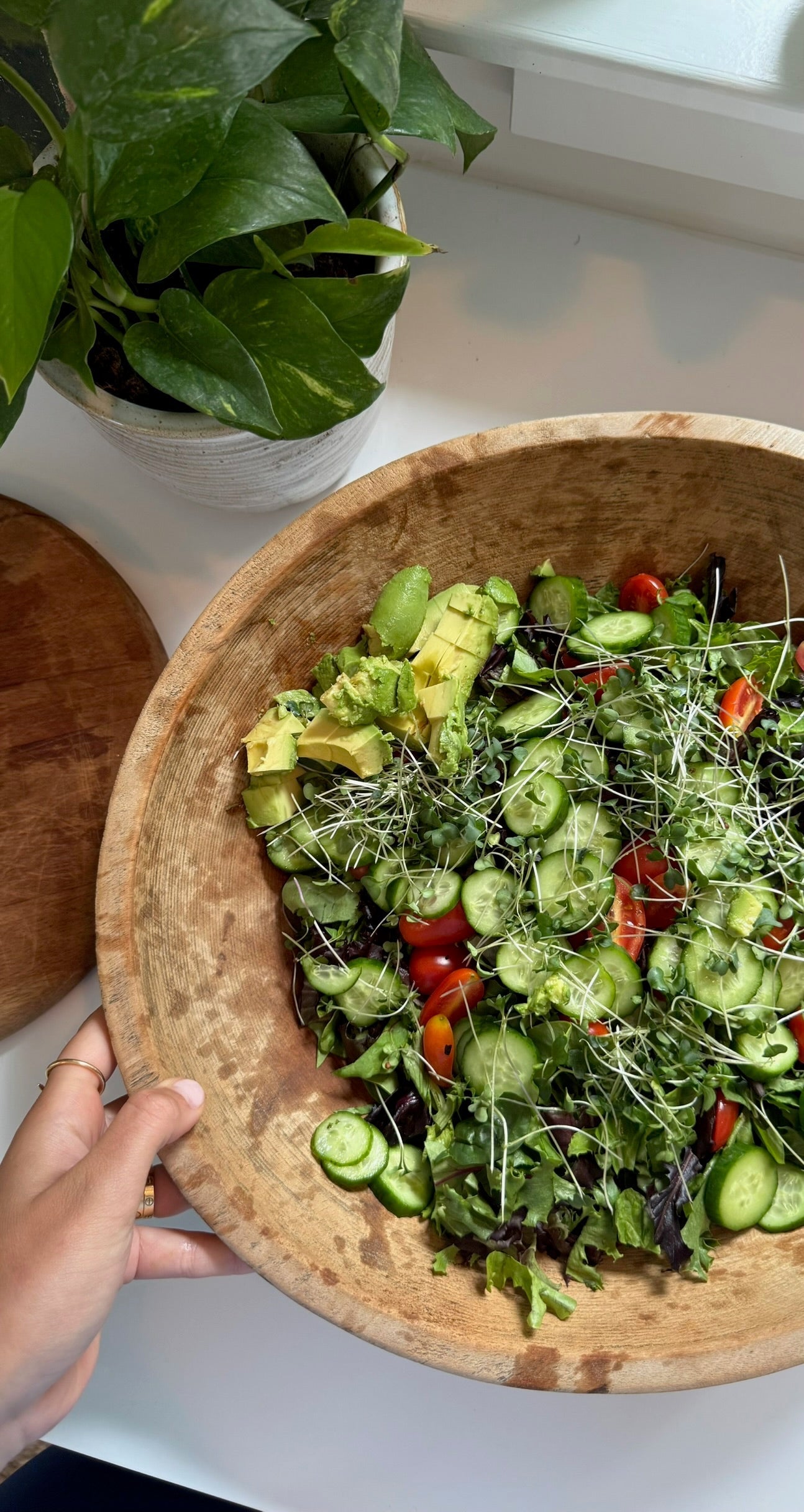 Sprout & cucumber salad