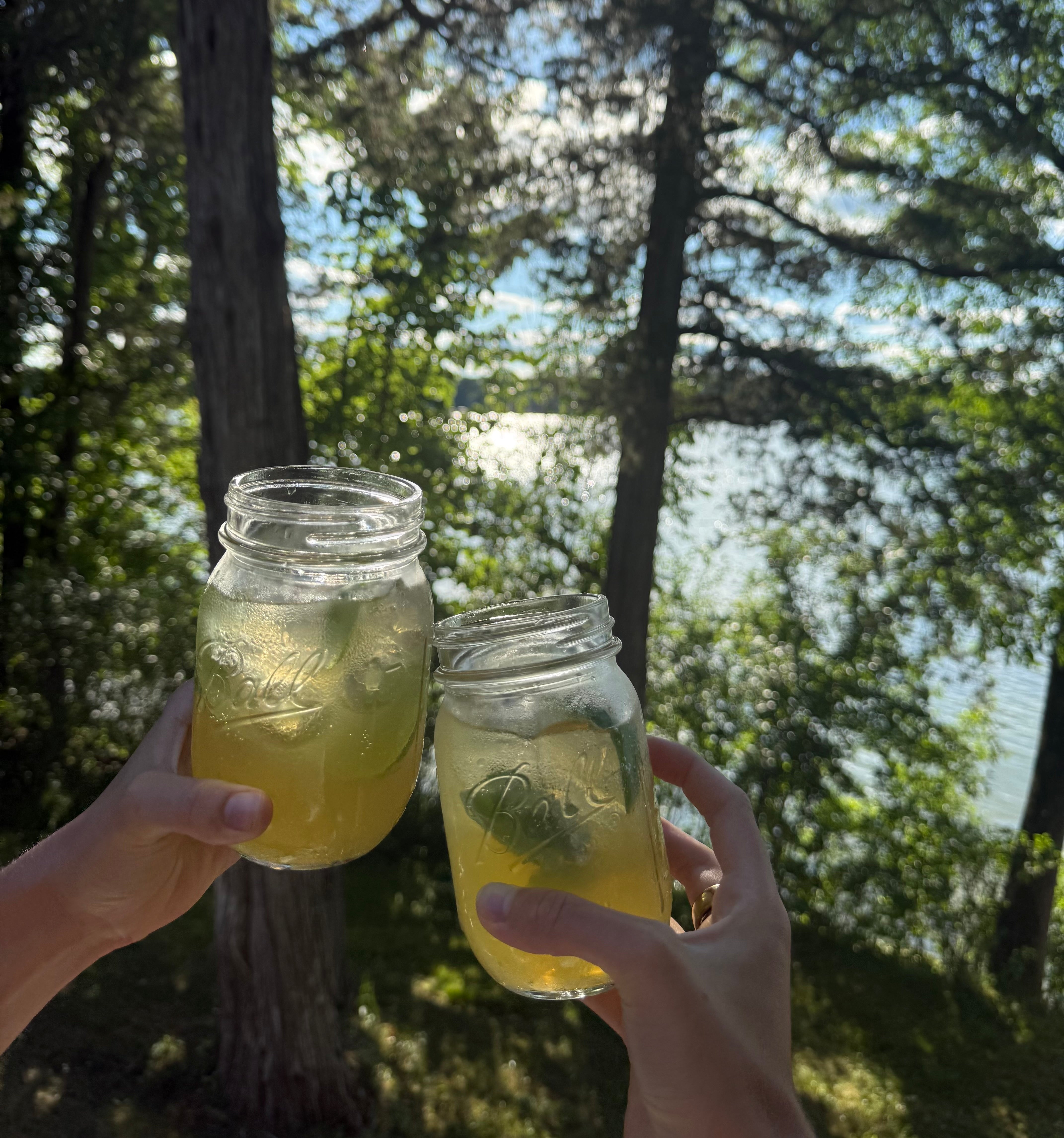 Clementine & herb spritz